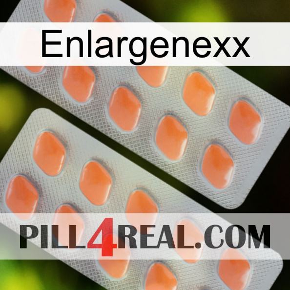 Enlargenexx 27.jpg